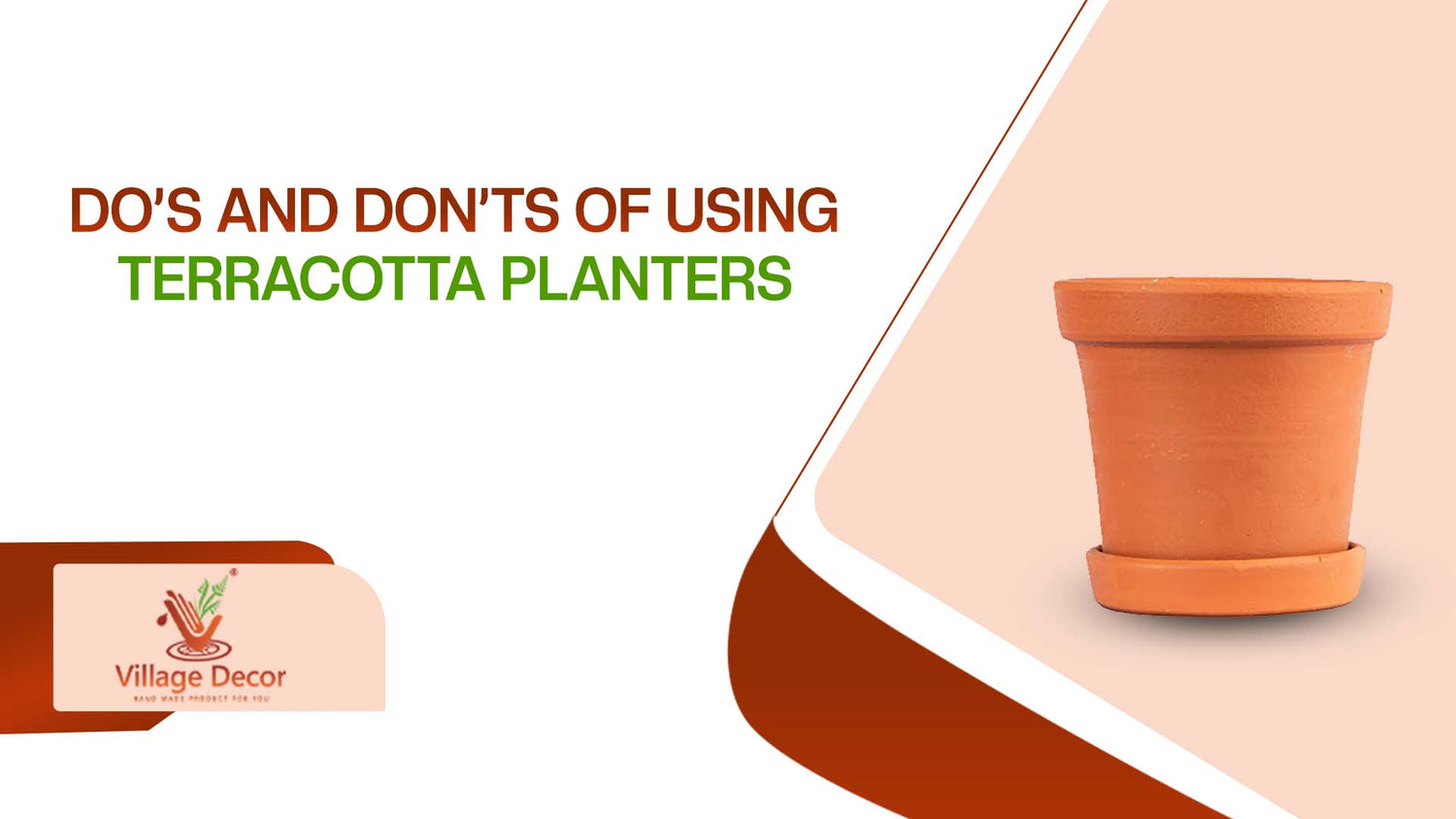 Do’s and Don’Ts of Using Terracotta Planters