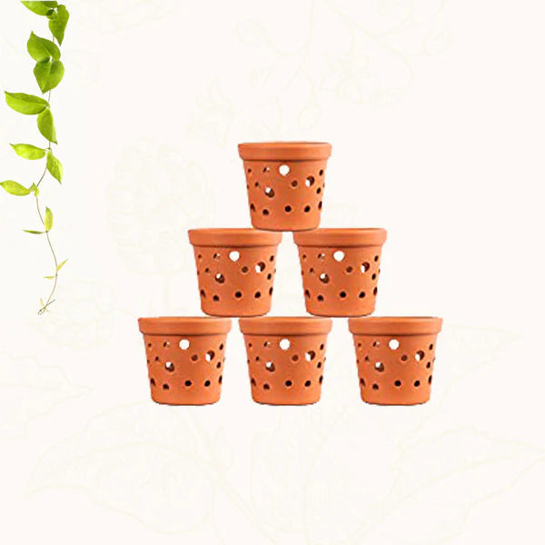 Orchid pot, Terracotta orchid pot
