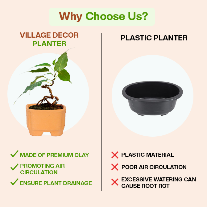 Terracotta Square Shape Bonsai Pot Pack of 2- (Width 3.7 inch)