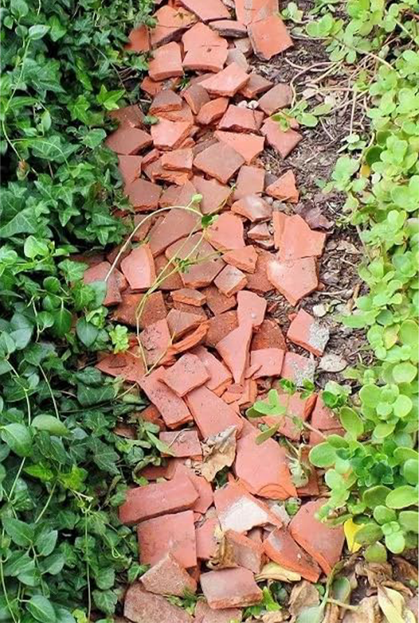 Clay chips arranged as a garden path between green plants, used for landscaping and soil protection.
