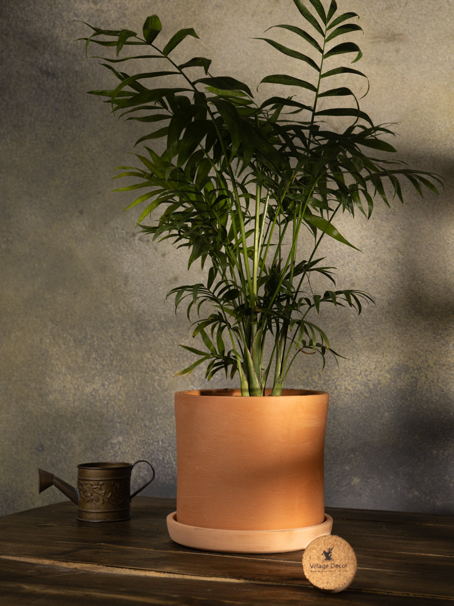 Terracotta Flower Pot with Bottom Tray 8.5 inch
