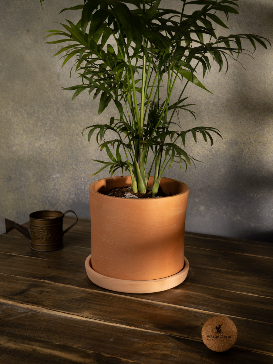 Terracotta Flower Pot with Bottom Tray 8.5 inch