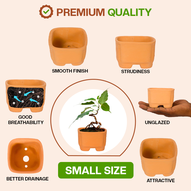 Terracotta Square Shape Bonsai Pot Pack of 2- (Width 3.7 inch)