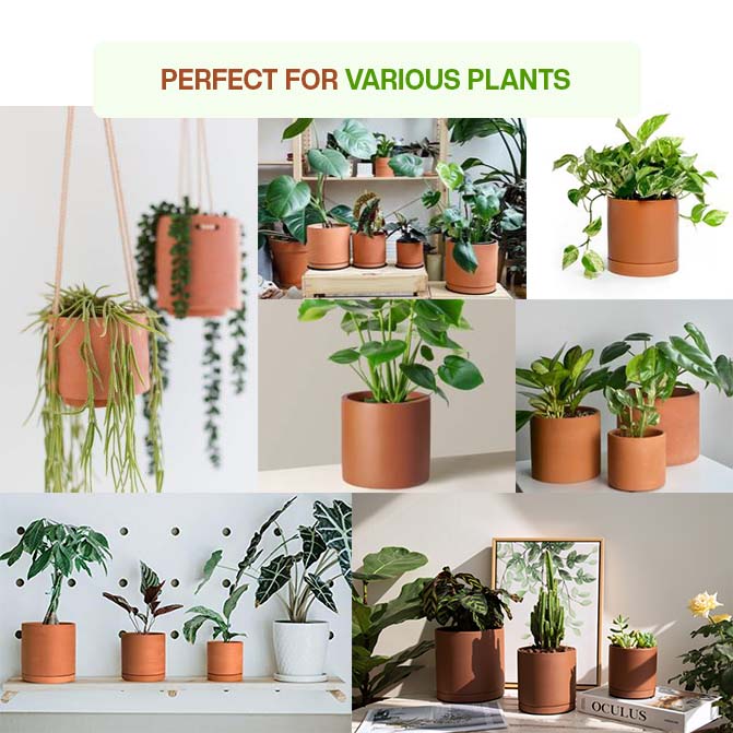 Terracotta Flower Pot with Bottom Tray 8.5 inch