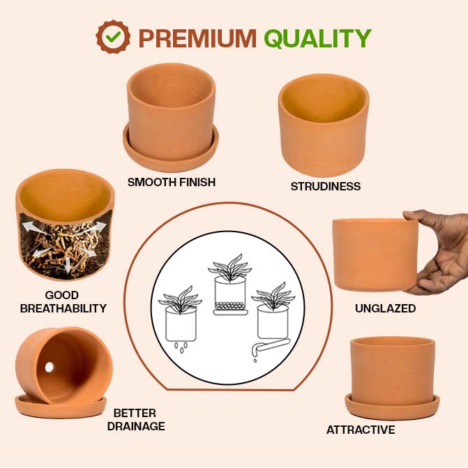 Terracotta Flower Pot with Bottom Tray 8.5 inch