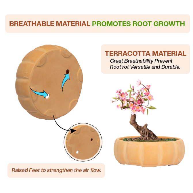Terracotta garden pots clay planter with breathable design, raised feet, and airflow to support healthy root growth.