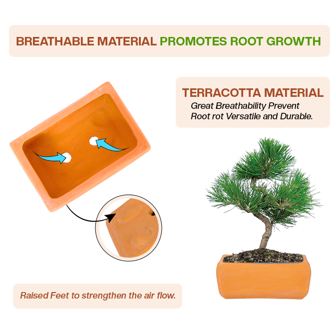 Terracotta garden pots clay planter with breathable design, raised feet, and airflow to support healthy root growth.