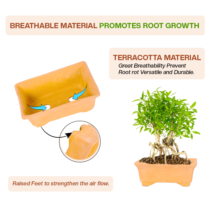 Terracotta garden pots clay planter with breathable design, raised feet, and airflow to support healthy root growth.