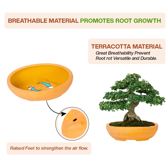 Terracotta garden pots clay planter with breathable design, raised feet, and airflow to support healthy root growth.