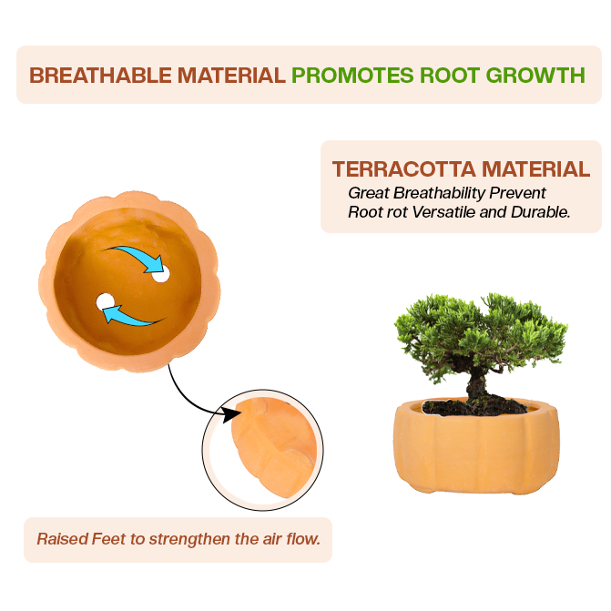 Terracotta garden pots clay planter with breathable design, raised feet, and airflow to support healthy root growth.