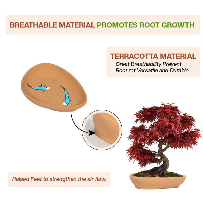 Terracotta garden pots clay planter with breathable design, raised feet, and airflow to support healthy root growth.