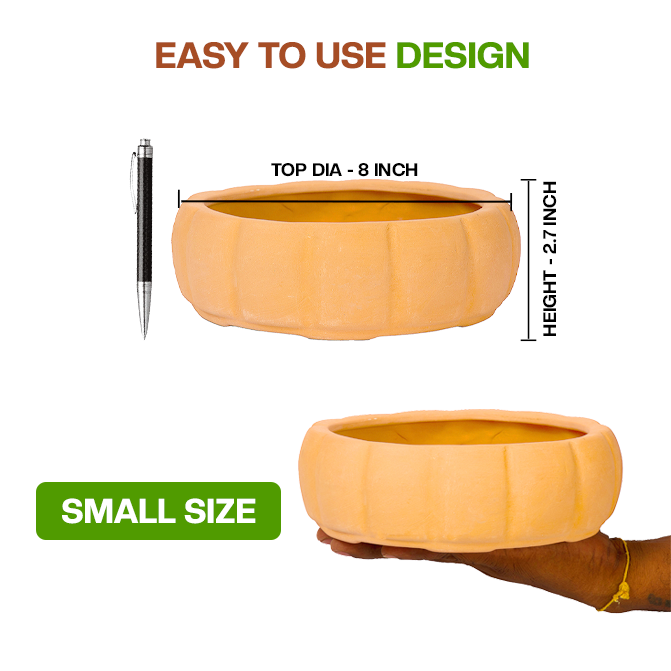 Terracotta bonsai Flower Pot showing easy to use design with dimension view and small size, ideal for indoor and outdoor plant lovers.