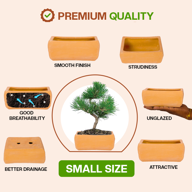 Terracotta bonsai planter highlighting product features like smooth finish, sturdiness, good breathability, better drainage, unglazed design, and attractive look.
