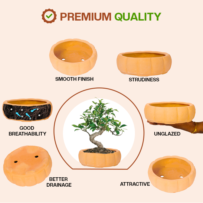 Terracotta bonsai planter highlighting product features like smooth finish, sturdiness, good breathability, better drainage, unglazed design, and attractive look.