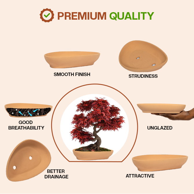 Terracotta bonsai planter highlighting product features like smooth finish, sturdiness, good breathability, better drainage, unglazed design, and attractive look.