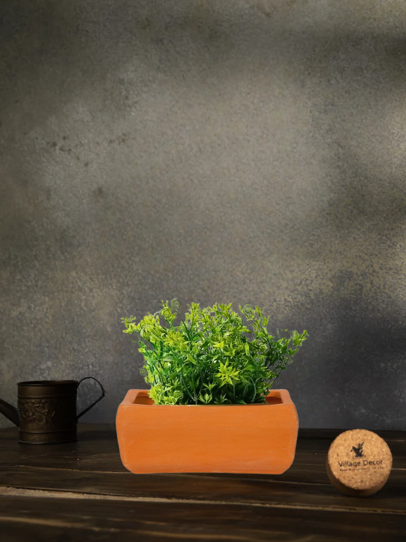 Terracotta Rectangular Shape Bonsai Planter pot, great for adding earthy tones to indoor and garden spaces.