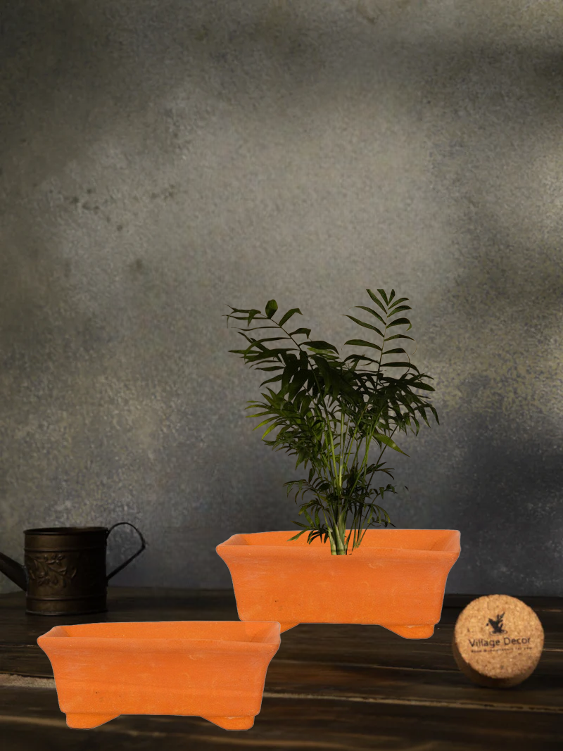 Terracotta Rectangular Shape Bonsai Planter pot, great for adding earthy tones to indoor and garden spaces.