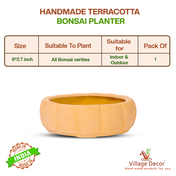 Handmade terracotta bonsai planter suitable for all bonsai varieties, ideal for indoor and outdoor use, image showing detailed product specifications.