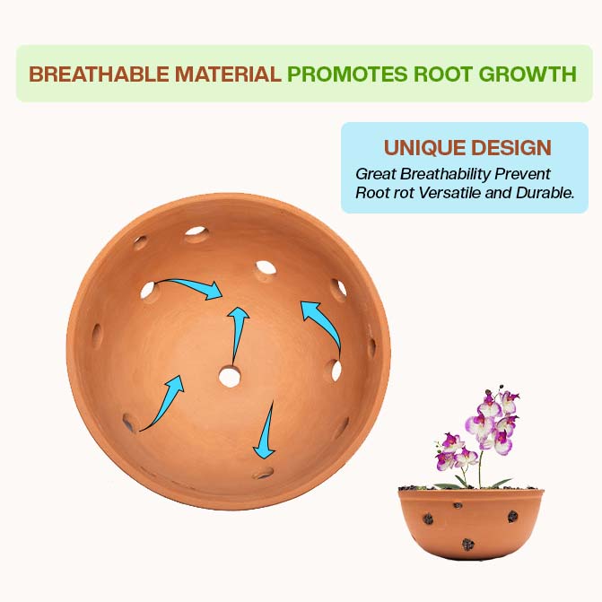Root-friendly terracotta planter with ventilation holes that support airflow and prevent rot, perfect as an indoor flower pot or clay garden planter for healthy plants.