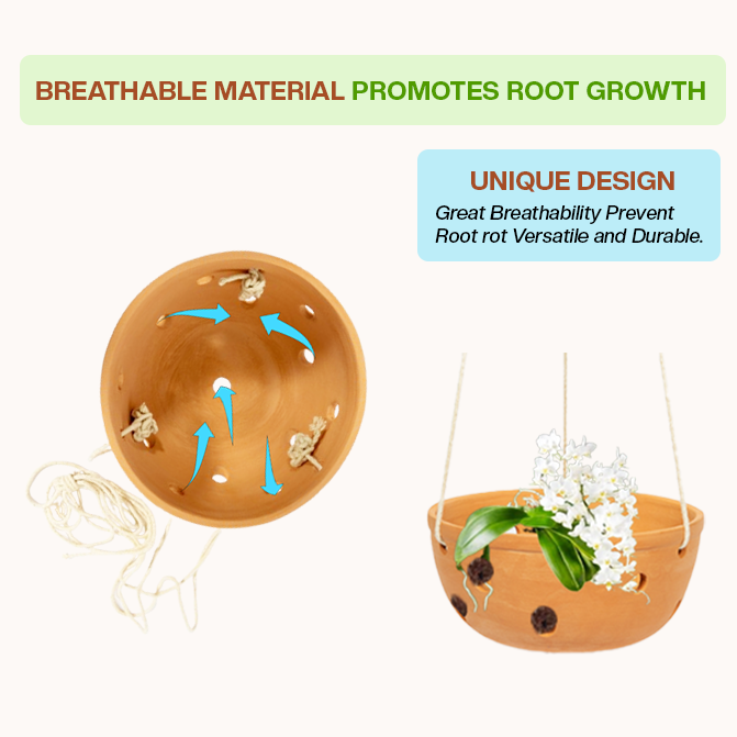 Root-friendly terracotta planter with ventilation holes that support airflow and prevent rot, perfect as an indoor flower pot or clay garden planter for healthy plants.