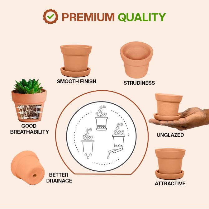 This handcrafted terracotta planter pot offers a natural, unglazed finish with excellent breathability and drainage. Its sturdy build and smooth design make it perfect for both indoor and outdoor gardening.