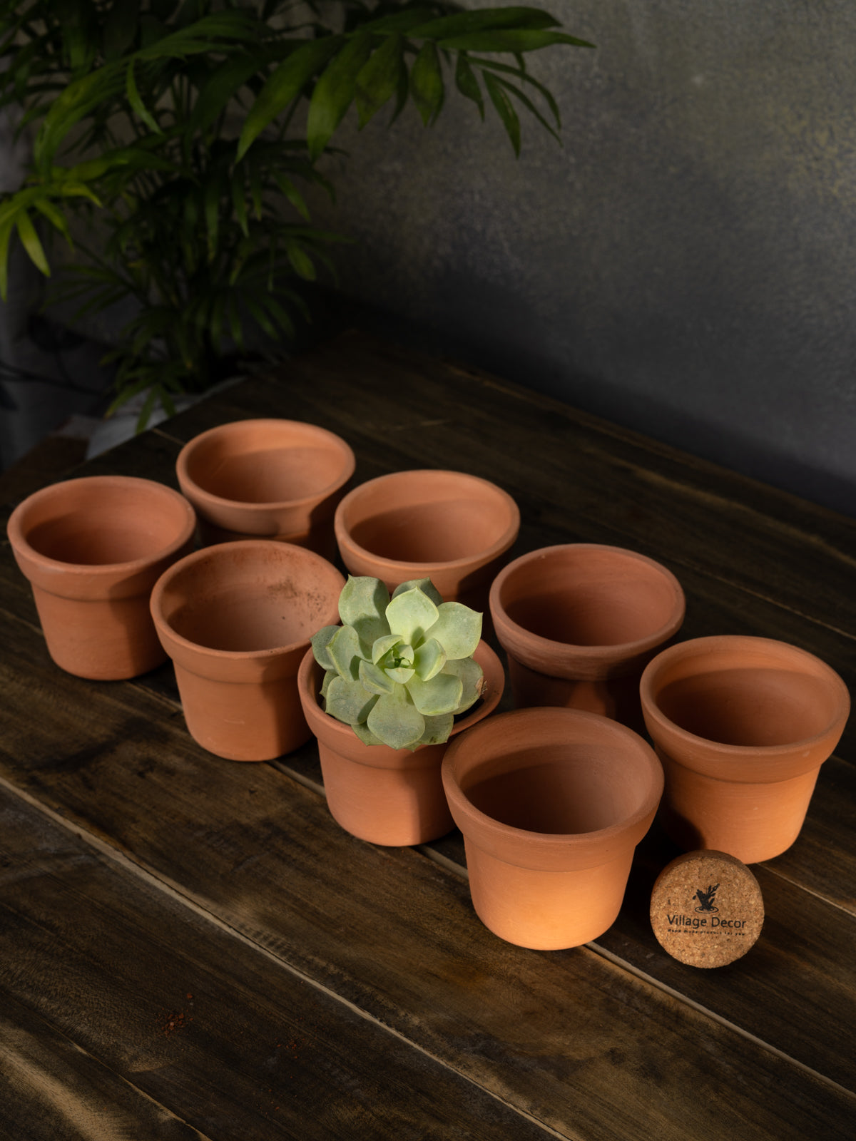A Terracotta cone-shaped planter Pot, placed indoors. A simple and natural choice for home gardening.