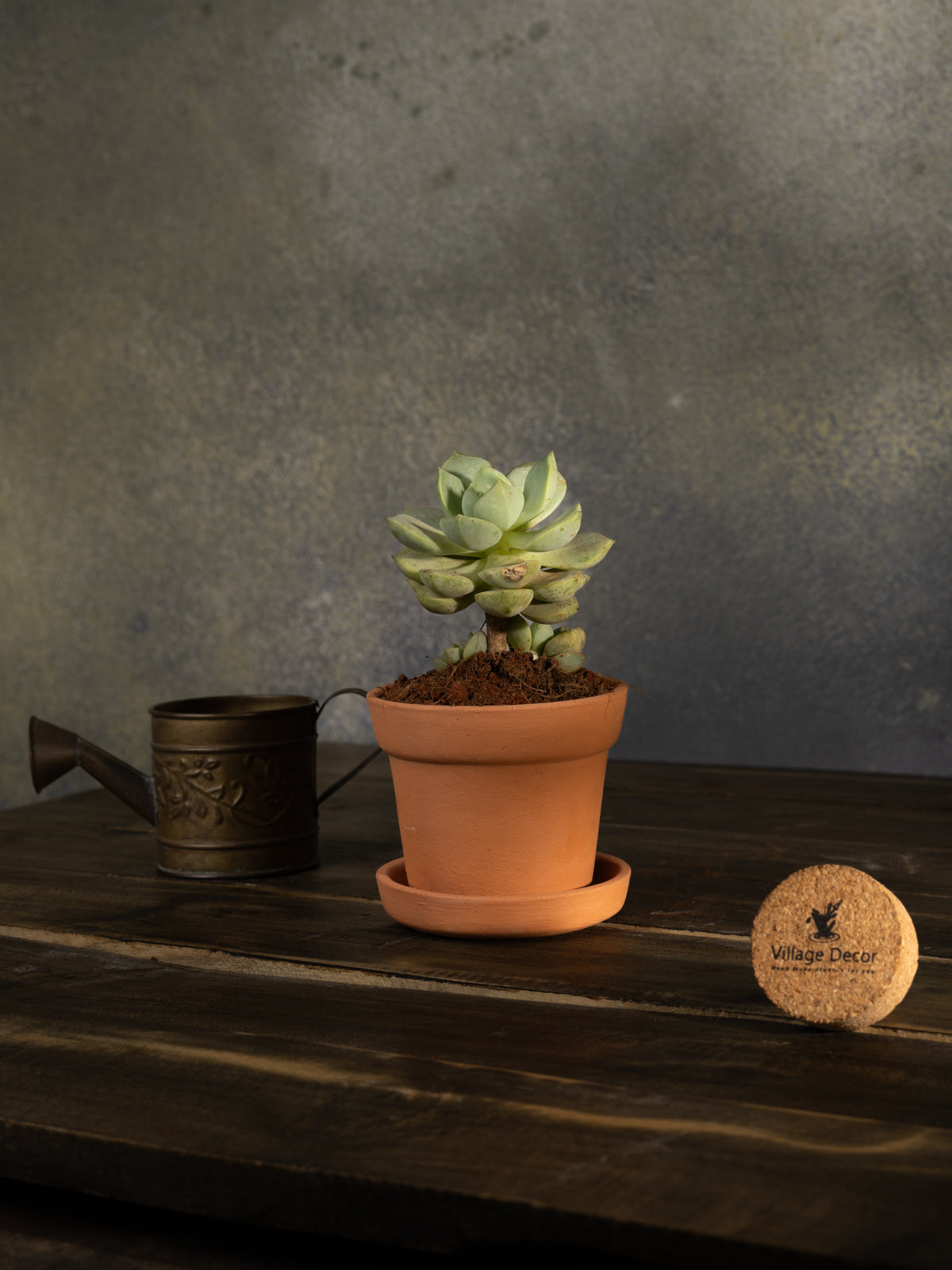 A Terracotta cone-shaped planter Pot, placed indoors with a matching tray. A simple and natural choice for home gardening.