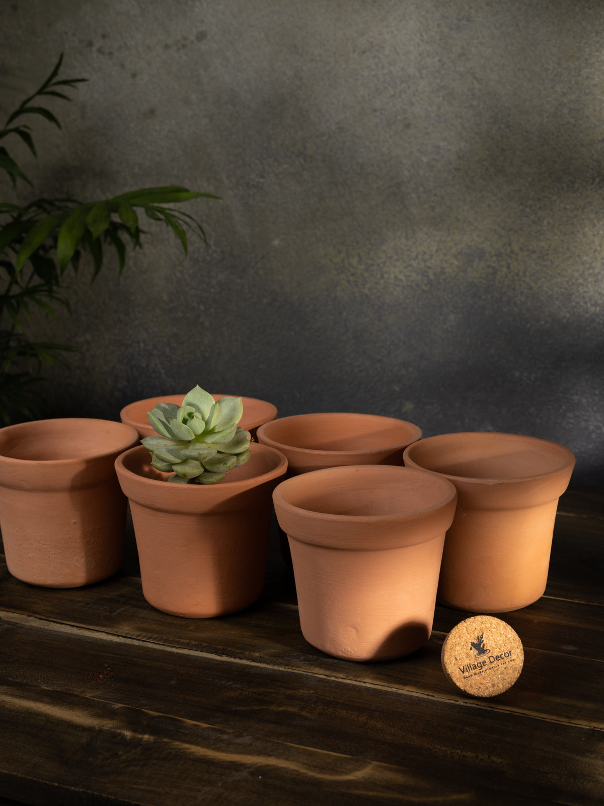 A Terracotta cone-shaped planter Pot, placed indoors. A simple and natural choice for home gardening.