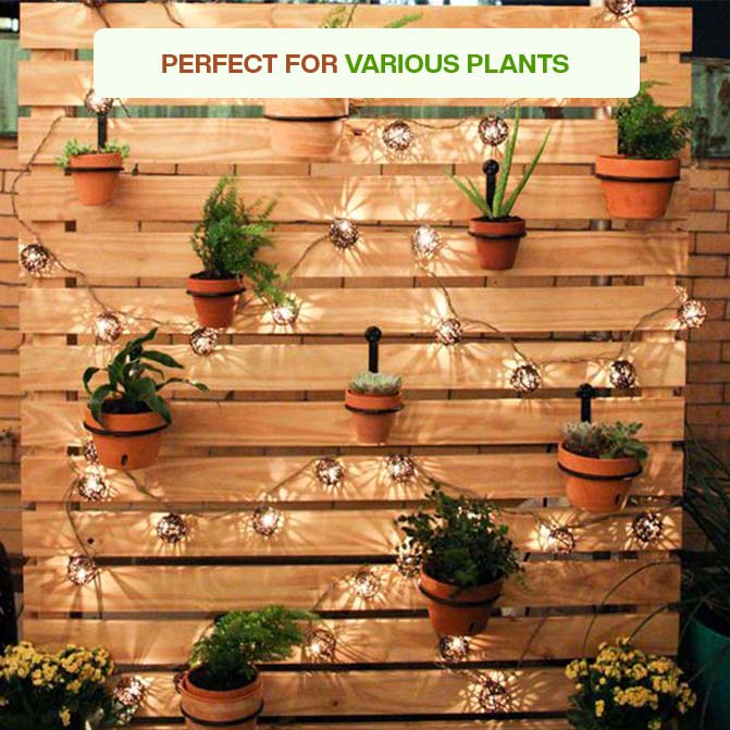Multiple terracotta flower pots placed on a window sill, each holding different herbs and plants. Ideal as indoor planters or garden pots clay.