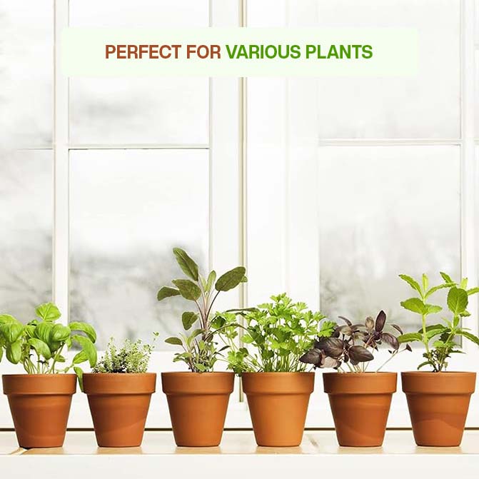 Multiple terracotta flower pots placed on a window sill, each holding different herbs and plants. Ideal as indoor planters or garden pots clay.