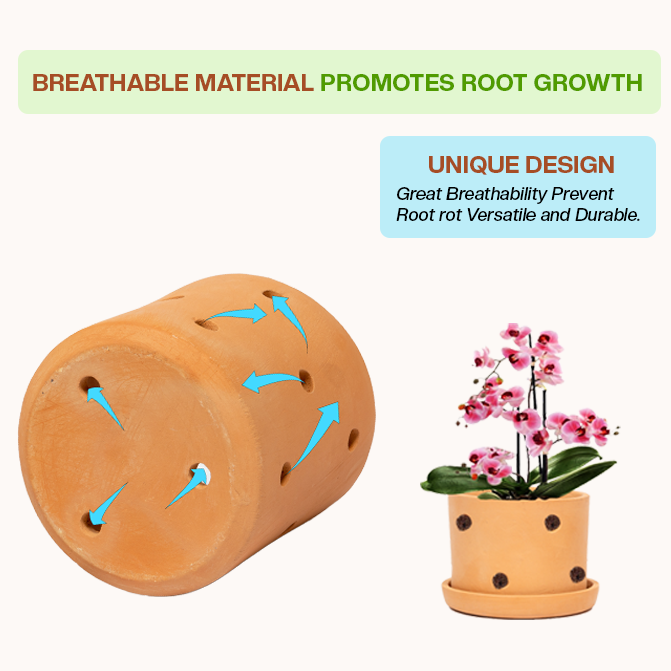 Root-friendly terracotta planter with ventilation holes that support airflow and prevent rot, perfect as an indoor flower pot or clay garden planter for healthy plants.