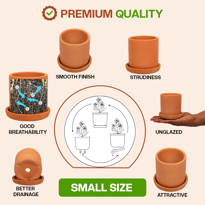 This handcrafted terracotta planter pot offers a natural, unglazed finish with excellent breathability and drainage. Its sturdy build and smooth design make it perfect for both indoor and outdoor gardening.