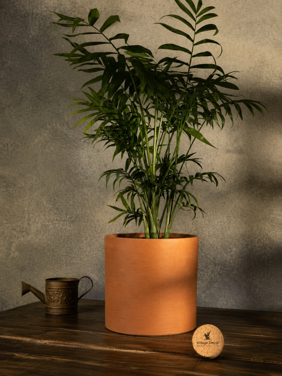 Cylinder shaped terracotta planter pot with lush green plant placed on a rustic wooden table, creating an earthy and elegant indoor decor vibe.