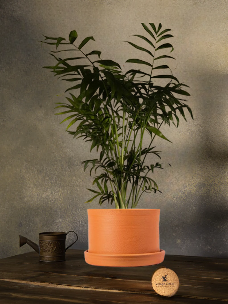 Cylinder shaped terracotta planter pot with lush green plant placed on a rustic wooden table, creating an earthy and elegant indoor decor vibe.