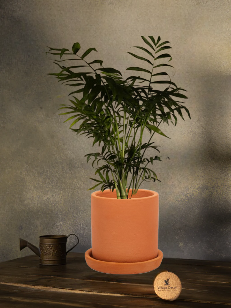 Terracotta Cylinder Shape Flower Pot with Bottom Tray | Indoor and Outdoor Garden pots for Repotting with Drainage Hole at Bottom 4 Inch