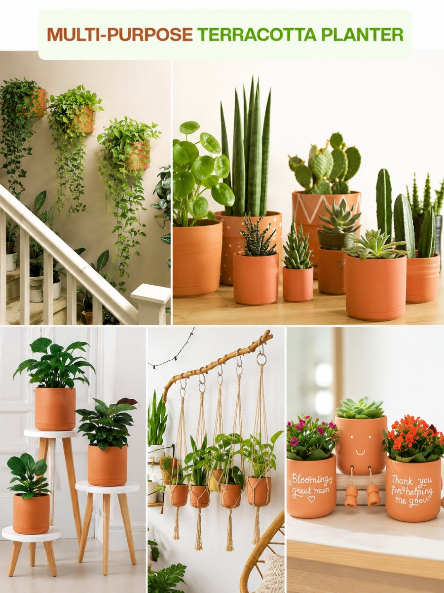 Various Uses Of Terracotta Planters pot Displayed With Indoor Plants, Hanging Arrangements, And Creative Gift Ideas For Home Decor.
