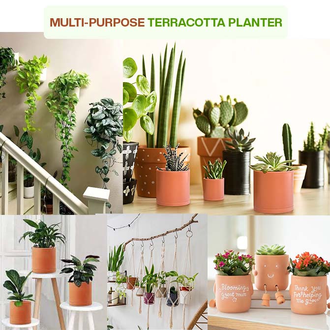 Various Uses Of Terracotta Planters pot Displayed With Indoor Plants, Hanging Arrangements, And Creative Gift Ideas For Home Decor.
