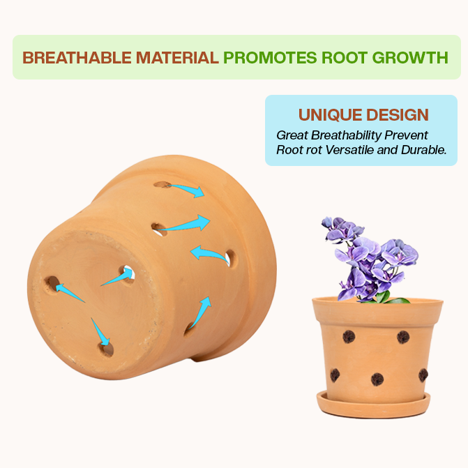 Root-friendly terracotta planter with ventilation holes that support airflow and prevent rot—perfect as an indoor flower pot or clay garden planter for healthy plants.