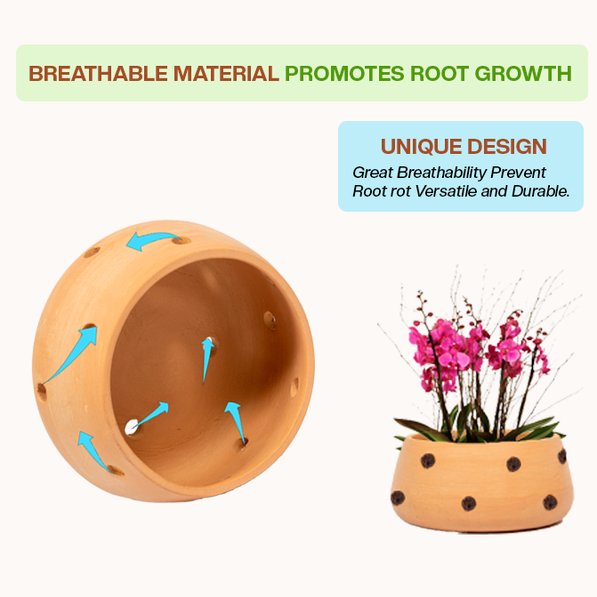 Root-friendly terracotta planter with ventilation holes that support airflow and prevent rot, perfect as an indoor flower pot or clay garden planter for healthy plants.