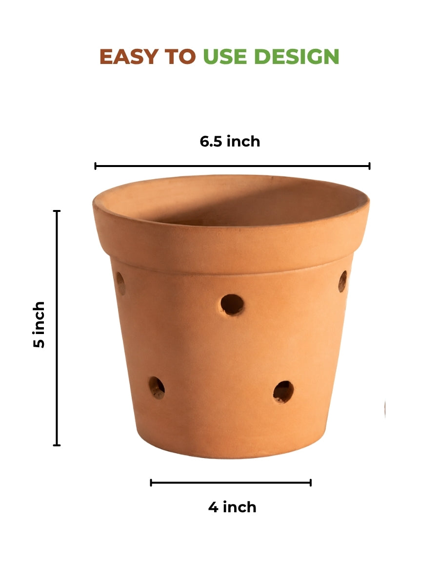 Terracotta planter pot, shown with a simple and user-friendly design-perfect for orchids, succulents, or indoor plants.