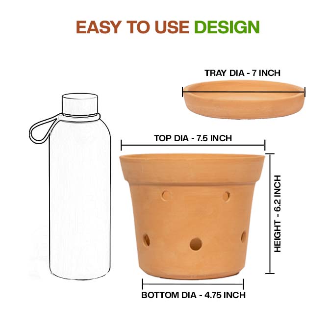 Terracotta planter pot with matching tray, shown with a simple and user-friendly design-perfect for orchids, succulents, or indoor plants.