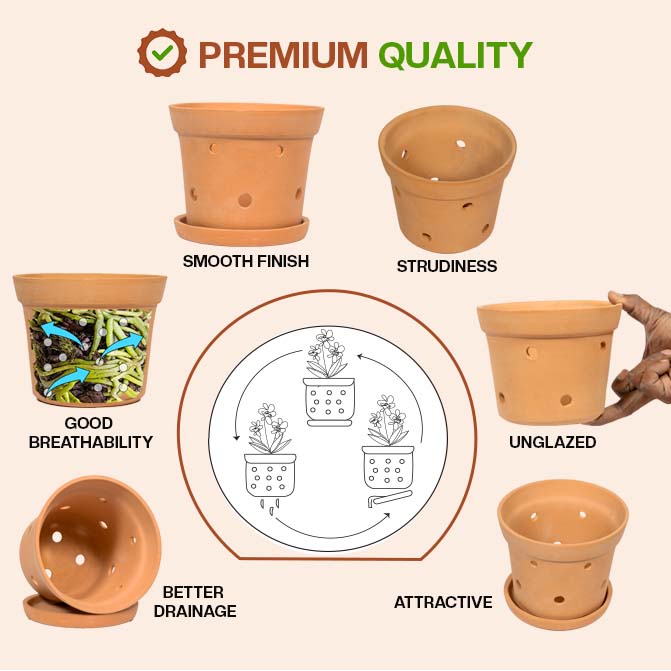 Premium terracotta flower pot with smooth finish, good breathability, better drainage, and sturdy unglazed clay-ideal as an indoor planter or garden pot for orchids.