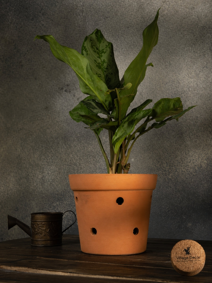 Terracotta indoor flower pot with multiple drainage holes, ideal for garden plants or as a decorative clay planter for home and office spaces.