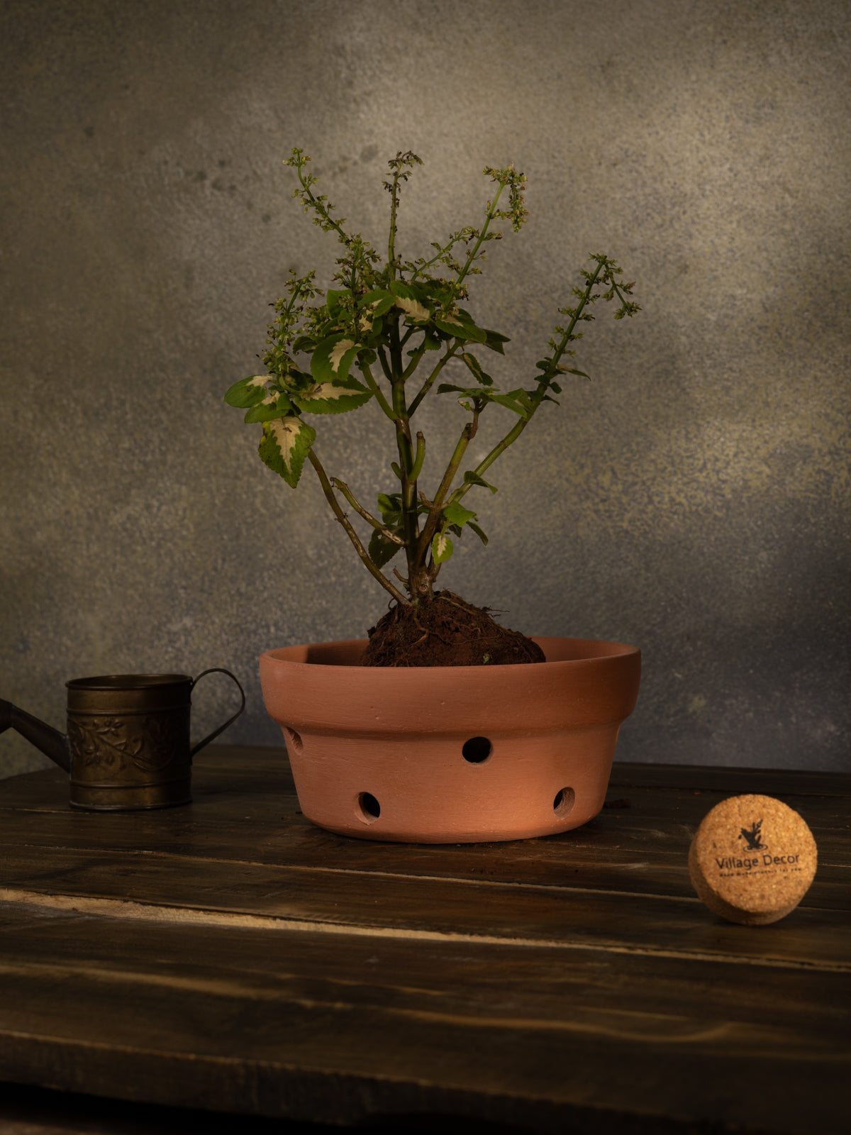 Terracotta indoor flower pot with multiple drainage holes, ideal for garden plants or as a decorative clay planter for home and office spaces.
