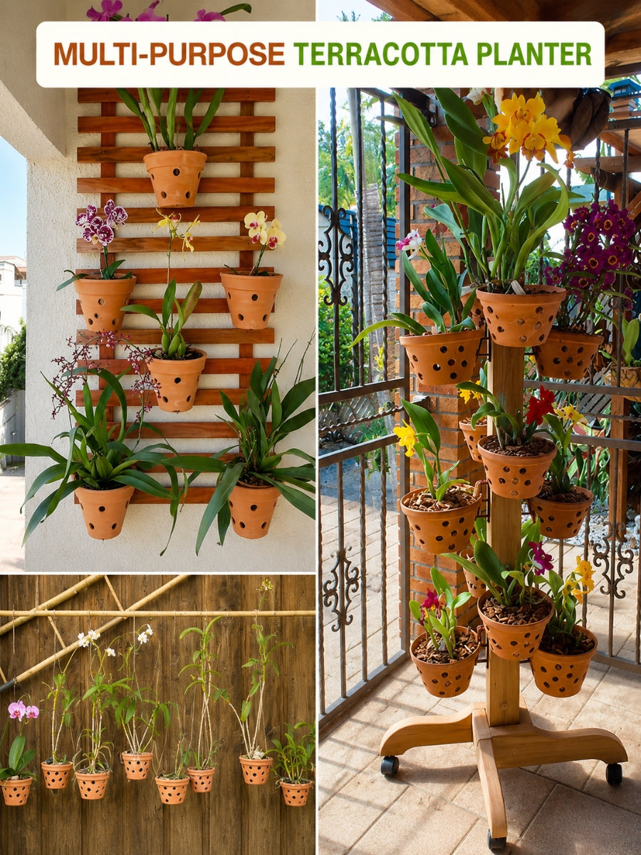 Multi-purpose terracotta pots used as indoor planters and clay flower pots for creative garden displays-perfect for orchids, vertical walls, and balcony decor.