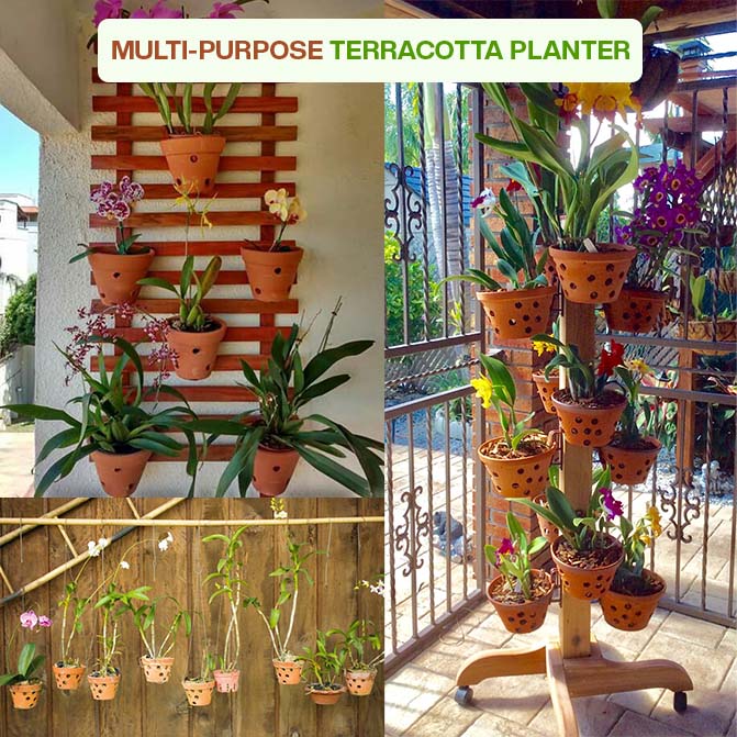 Multi-purpose terracotta pots used as indoor planters and clay flower pots for creative garden displays-perfect for orchids, vertical walls, and balcony decor.
