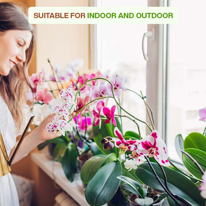 Woman caring for orchids in terracotta flower pots placed on a bright indoor windowsill, perfect for indoor and outdoor gardening with clay planters.