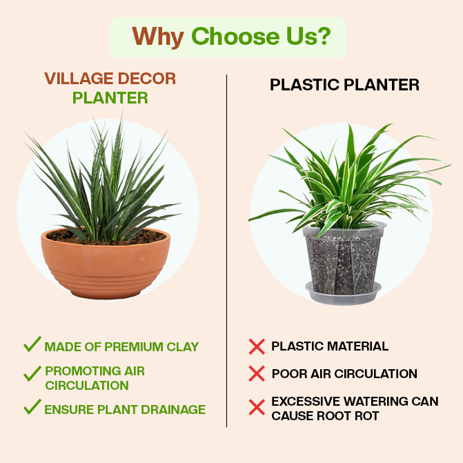 Comparison of Village Decor clay planter and plastic pot showing benefits in air circulation and drainage.