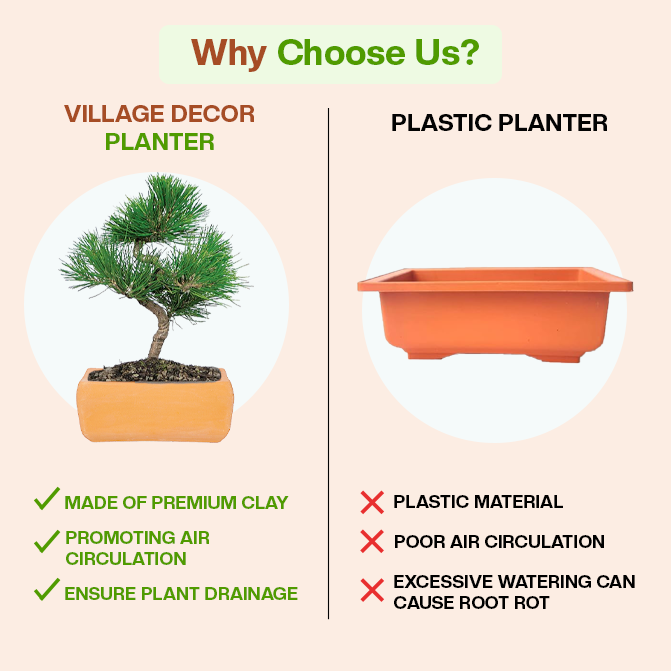 Comparison of Village Decor clay planter and plastic pot showing benefits in air circulation and drainage.