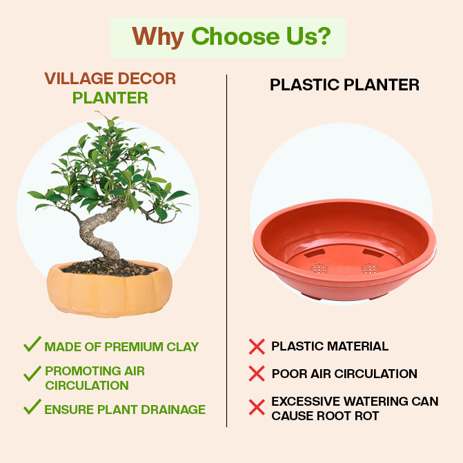 Comparison of Village Decor clay planter and plastic pot showing benefits in air circulation and drainage.